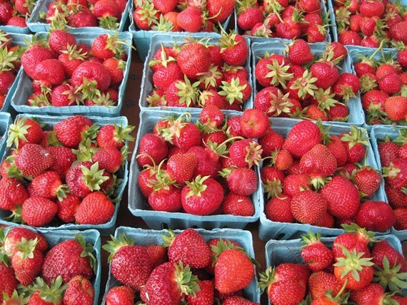 6d1708c1_strawberries.jpg