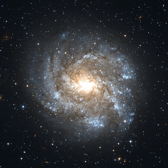 29d002bf_ngc_2082_barred_spiral_galaxy_constellation_schwertfisch.jpg