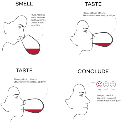 tasting_wine_wine_class.png