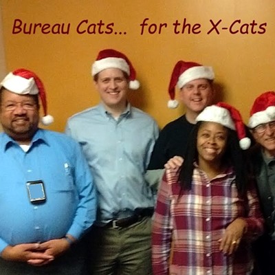 Bureau Cats