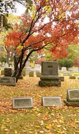 PHOTO BY LARISSA COE - A Japanese maple tree in Mount Hope Cemetery.