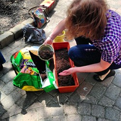 A student taking the "Container and Urban Organic Gardening" class at Rochester Brainery. - PHOTO PROVIDED