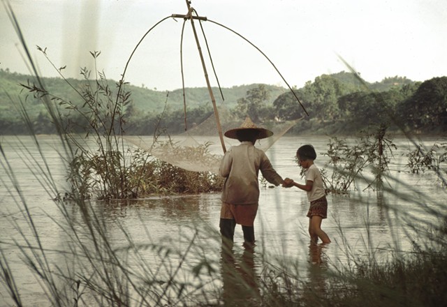 Photograph of adult and child among reeds in water.