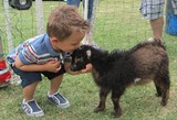 74153a5f_goat.petting.zoo_smaller.jpg