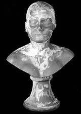 ALBRIGHT-KNOX - Its been eating away at her: Janine Antonis licked self-portrait bust.