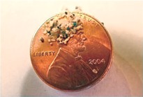Plastic microbeads as compared to a penny. - PROVIDED PHOTO