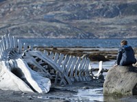 Film Review: "Leviathan"
