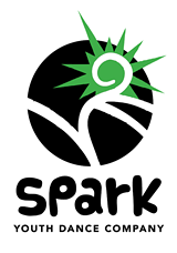 b2be567e_sparklogo-final-web-all-01.png