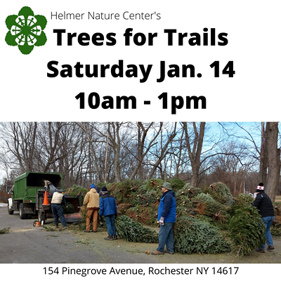 Trees for Trails - Tree Recycling