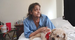 Linda Barger sits in the bed of her Sherman Street apartment with her dog, Bear. - FILE PHOTO