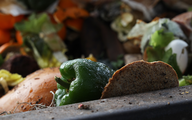 Some of the food scraps collected by Impact Earth during a day's pickups. - PHOTO BY MAX SCHULTE