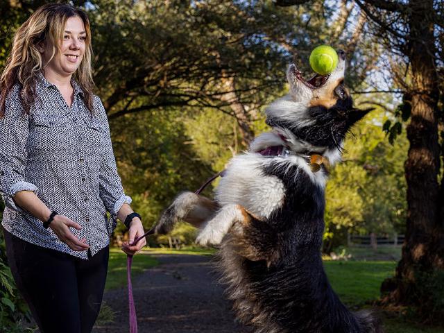 Julie Adner tosses a ball to her dog Robin at Ellison Park Dog Park. - FILE PHOTO