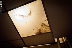 Tenants at 447 Thurston Road have filed complaints with their landlord about mold growing on their ceiling. These issues, tenants say, continue to go unaddressed. - FILE PHOTO