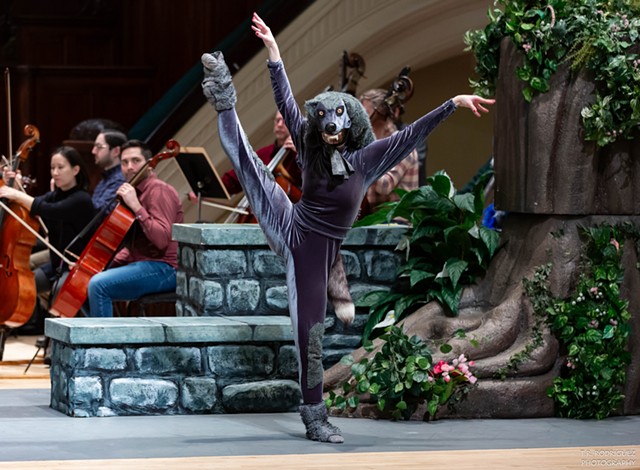A scene from "Peter and the Wolf" during a recent performance with the RPO at Hochstein.