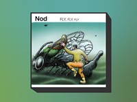 Nod embraces decades of beautiful noise on 'Fly, Fly, Fly'