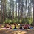 RECREATION | Yoga in the Pines