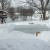 How to build your backyard ice rink on the cheap