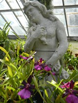 statuewithpurpleorchids.jpg