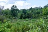 Pond Life Exploration June 12 & 13, 11am-1pm - Uploaded by RMSC