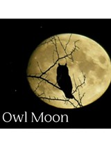 owl_moon_1_.jpg