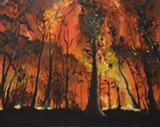 beautiful-extinction-wildfire-032320-1-980x780.jpg