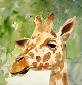 088facab_giraffe_image.jpg