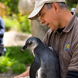 370dcefc_blakely-kevin-with-penguin-2015-mike-martinez-3-600x600.jpg