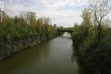 FILE PHOTO - The New York State Canal Corporation plans to remove trees from some areas along the canal.