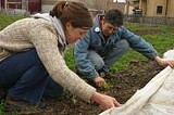 PHOTO BY KURT BROWNELL - Urban harvest: sowing the seeds at Fresh Produce Buying Club.
