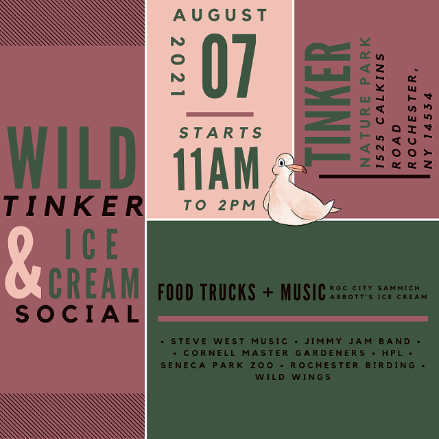 Wild Tinker & Ice Cream Social