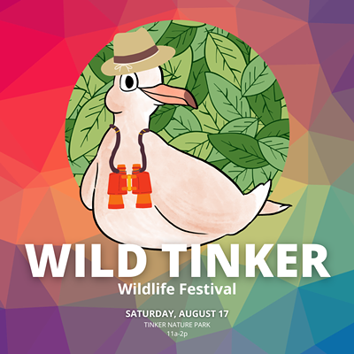 Wild Tinker